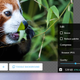 See at a glance how small your image file is getting
